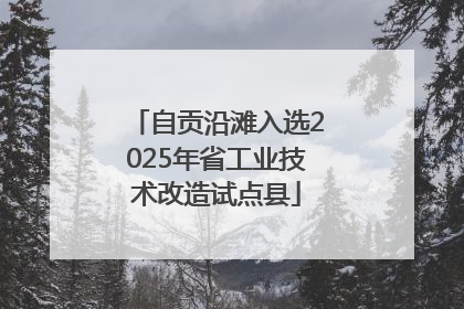 自贡沿滩入选2025年省工业技术改造试点县
