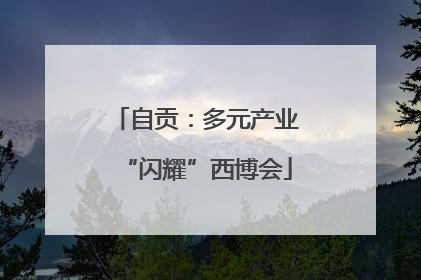 自贡：多元产业“闪耀”西博会