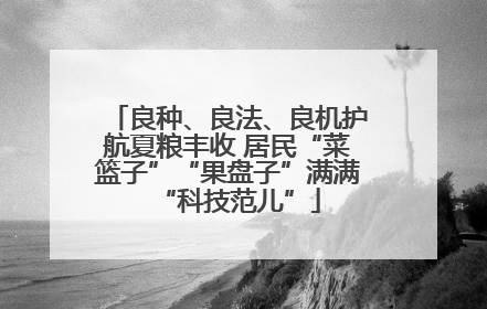 良种、良法、良机护航夏粮丰收 居民“菜篮子”“果盘子”满满“科技范儿”