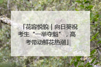 花容悦貌｜向日葵祝考生“一举夺魁”，高考带动鲜花热潮