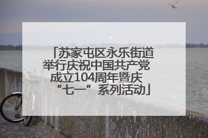 苏家屯区永乐街道举行庆祝中国共产党成立104周年暨庆“七一”系列活动