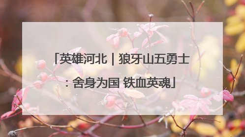 英雄河北｜狼牙山五勇士：舍身为国 铁血英魂