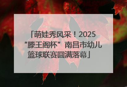 萌娃秀风采！2025“滕王阁杯”南昌市幼儿篮球联赛圆满落幕