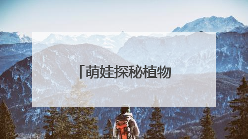 萌娃探秘植物王国：从“会飞的种子”到“善变的绣球花”