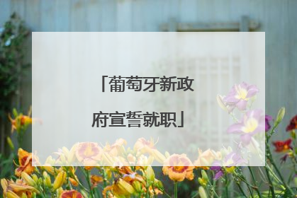 葡萄牙新政府宣誓就职