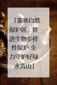 董寨自然保护区：推进生物多样性保护 全力守护好绿水青山