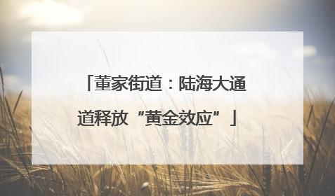 董家街道：陆海大通道释放“黄金效应”