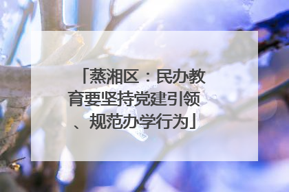 蒸湘区：民办教育要坚持党建引领、规范办学行为