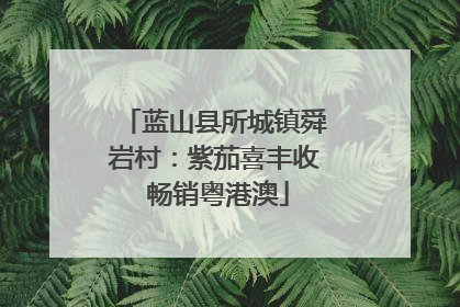蓝山县所城镇舜岩村：紫茄喜丰收 畅销粤港澳
