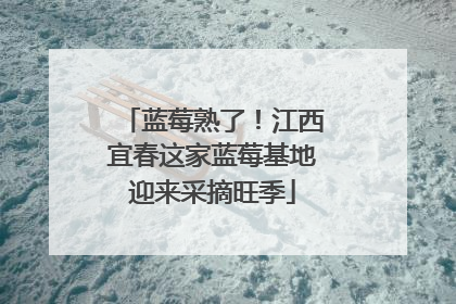 蓝莓熟了！江西宜春这家蓝莓基地迎来采摘旺季