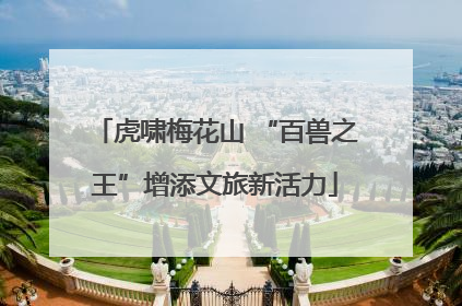虎啸梅花山 “百兽之王”增添文旅新活力