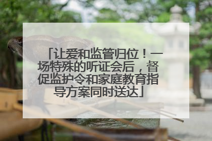 让爱和监管归位！一场特殊的听证会后，督促监护令和家庭教育指导方案同时送达