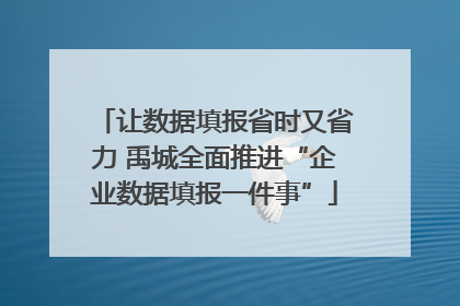 让数据填报省时又省力 禹城全面推进“企业数据填报一件事”