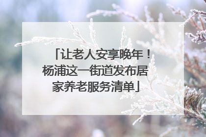 让老人安享晚年！杨浦这一街道发布居家养老服务清单