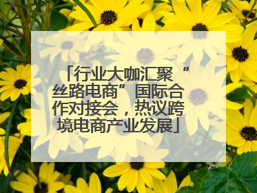 行业大咖汇聚“丝路电商”国际合作对接会，热议跨境电商产业发展