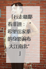 行走赣鄱看非遗：“希望岳家拳的身影遍布大江南北”
