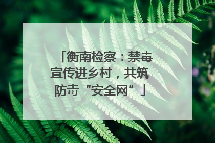 衡南检察：禁毒宣传进乡村，共筑防毒“安全网”
