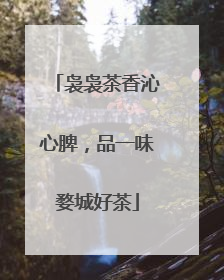 袅袅茶香沁心脾，品一味婺城好茶