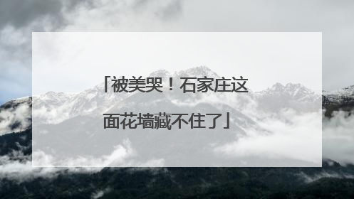 被美哭！石家庄这面花墙藏不住了