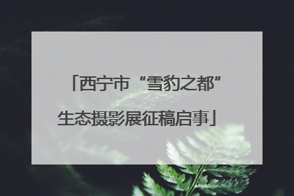 西宁市“雪豹之都”生态摄影展征稿启事