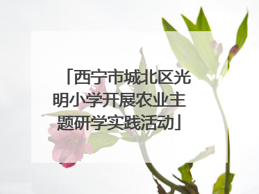 西宁市城北区光明小学开展农业主题研学实践活动