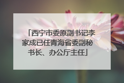 西宁市委原副书记李家成已任青海省委副秘书长、办公厅主任