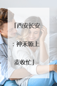 西安长安：神禾塬上麦收忙