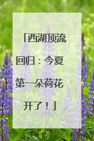西湖顶流回归：今夏第一朵荷花开了！