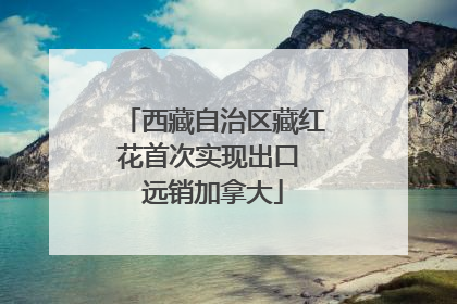 西藏自治区藏红花首次实现出口 远销加拿大