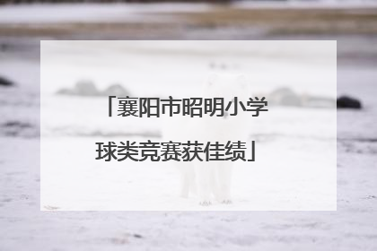 襄阳市昭明小学球类竞赛获佳绩