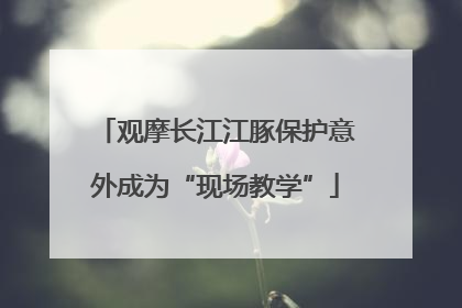 观摩长江江豚保护意外成为“现场教学”