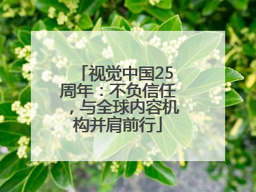 视觉中国25周年：不负信任，与全球内容机构并肩前行