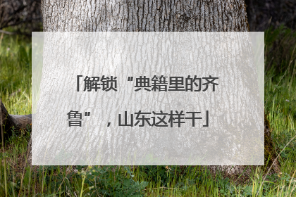 解锁“典籍里的齐鲁”，山东这样干