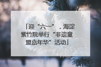 迎“六一”，海淀紫竹院举行“非遗童盟嘉年华”活动