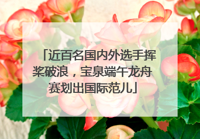 近百名国内外选手挥桨破浪，宝泉端午龙舟赛划出国际范儿