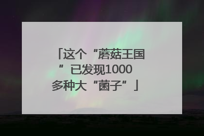这个“蘑菇王国”已发现1000多种大“菌子”