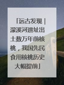 远古发现｜濛溪河遗址出土数万年前核桃，我国先民食用核桃历史大幅提前