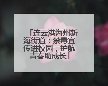 连云港海州新海街道：禁毒宣传进校园，护航青春助成长