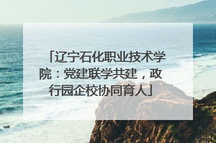 辽宁石化职业技术学院：党建联学共建，政行园企校协同育人