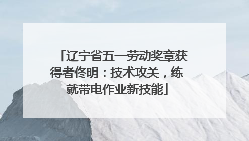 辽宁省五一劳动奖章获得者佟明：技术攻关，练就带电作业新技能