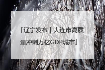 辽宁发布｜大连市高质量冲刺万亿GDP城市