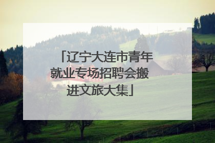 辽宁大连市青年就业专场招聘会搬进文旅大集