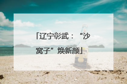 辽宁彰武：“沙窝子”焕新颜