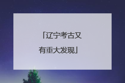 辽宁考古又有重大发现