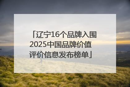 辽宁16个品牌入围2025中国品牌价值评价信息发布榜单
