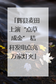 辉县麦田上演“点草成金” 秸秆发电点亮万家灯火