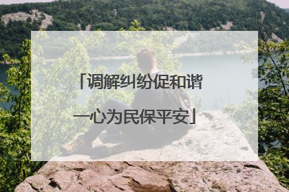 调解纠纷促和谐 一心为民保平安