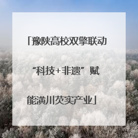 豫陕高校双擎联动 “科技+非遗”赋能潢川芡实产业