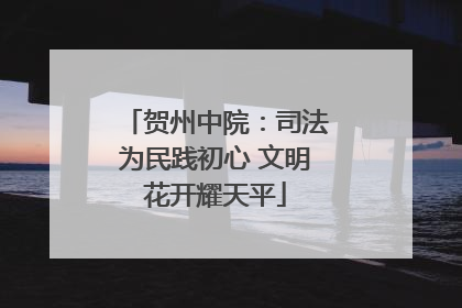贺州中院：司法为民践初心 文明花开耀天平