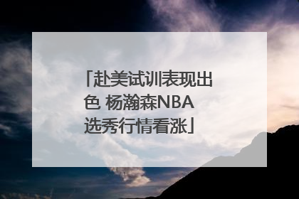 赴美试训表现出色 杨瀚森NBA选秀行情看涨
